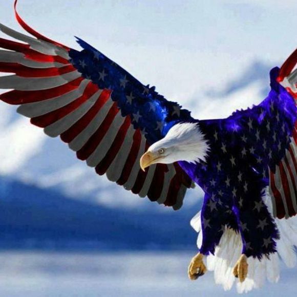 Meet your Posher, Bobbi - Picture 1 of 1